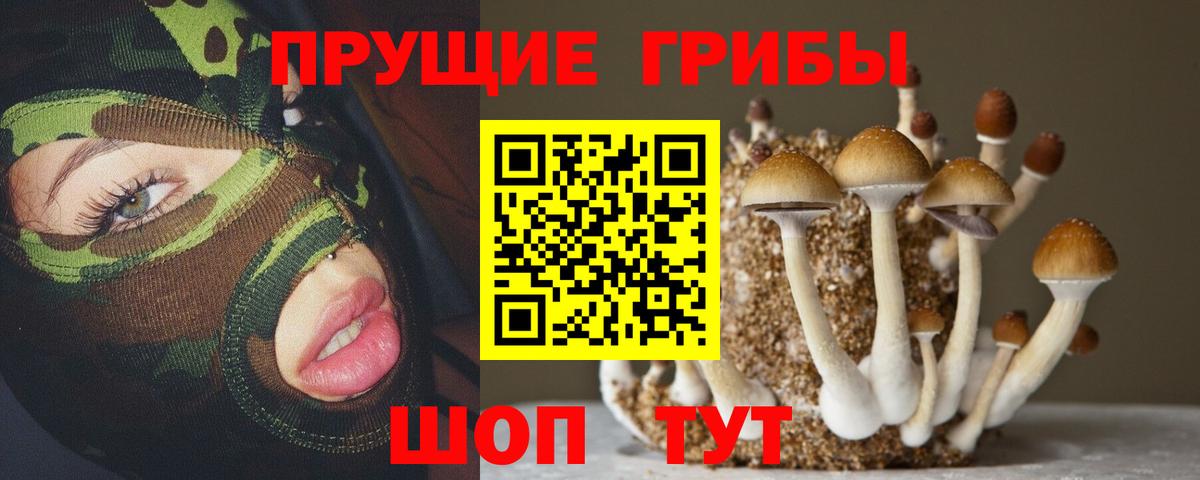 Рыбинск  Галлюциногенные грибы мицелий  Вход с VPN 
